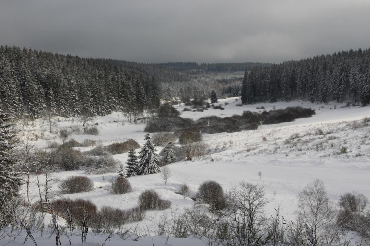 Villa Le Nid Des Mesanges Büllingen Exterior foto