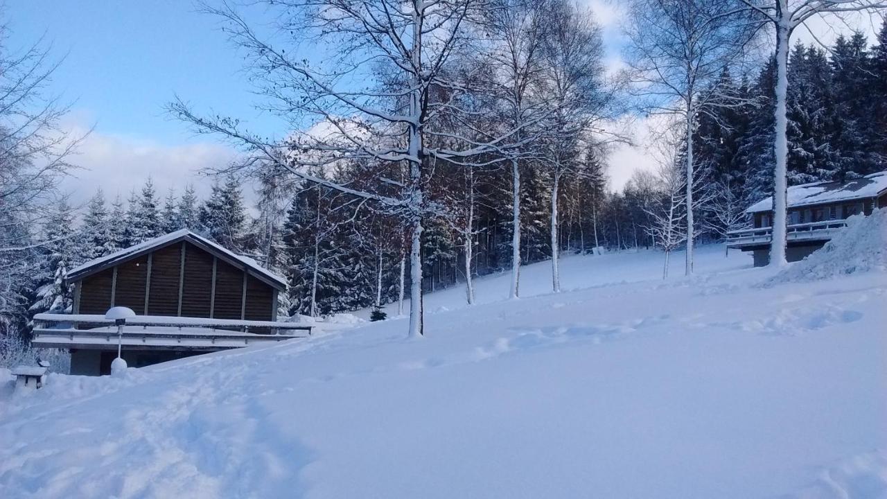 Villa Le Nid Des Mesanges Büllingen Exterior foto